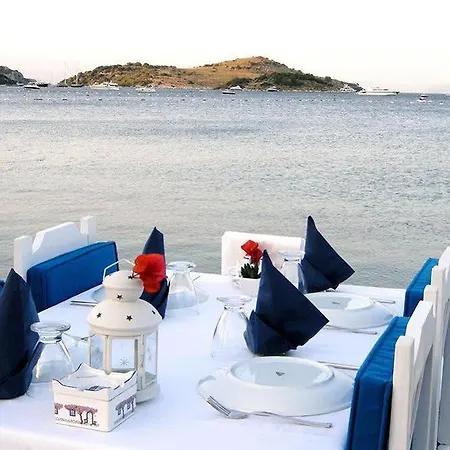Knidos فندق مبيت وإفطار غولتوركبوكو
